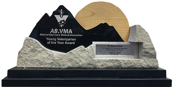 Young Veterinarian of the Year Award 2011